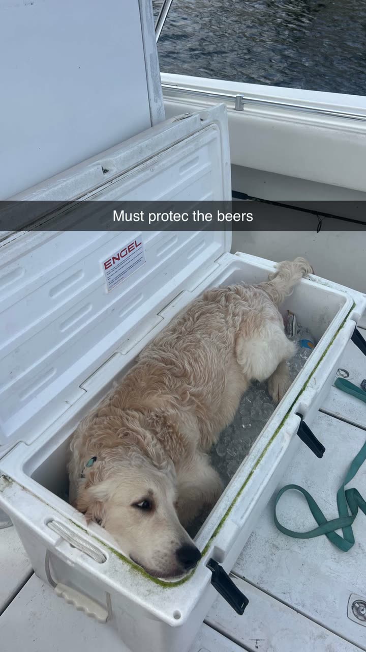 alisonbowles snapchat image archive image