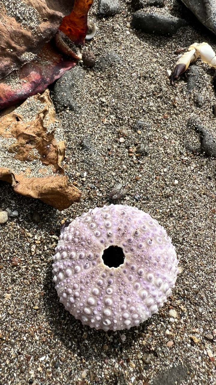 alisonbowles snapchat image archive image