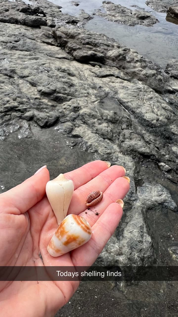 alisonbowles snapchat image archive image