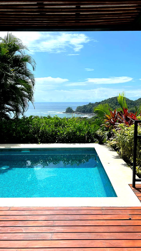 alisonbowles image ~ Altpins