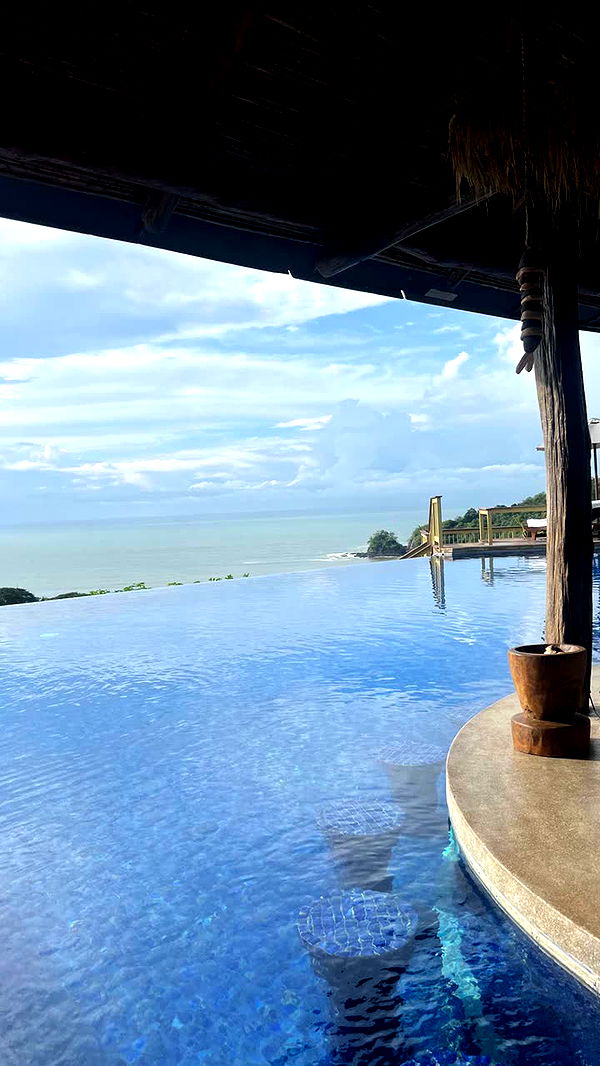 alisonbowles image ~ Altpins