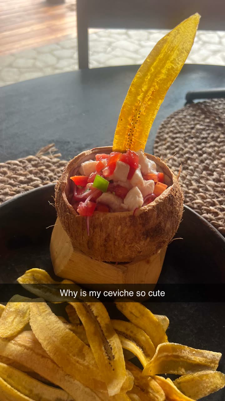 alisonbowles snapchat image archive image