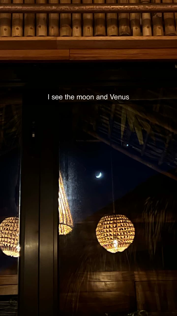 alisonbowles snapchat image archive image