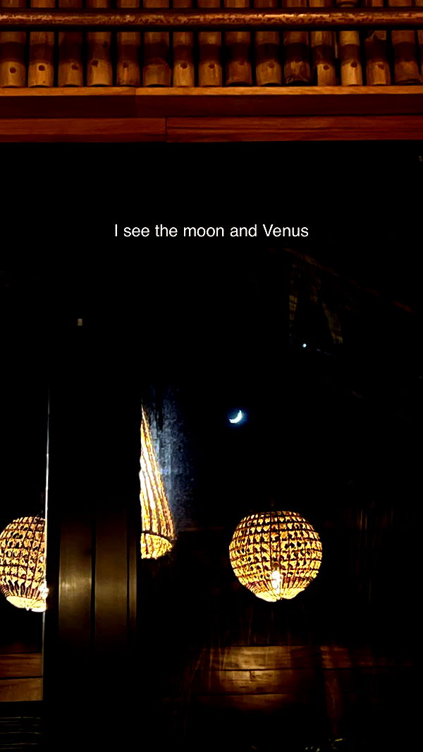 alisonbowles image ~ Altpins