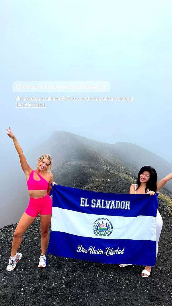 alisonbowles image ~ Altpins