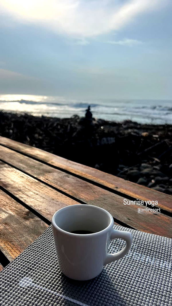 alisonbowles image ~ Altpins