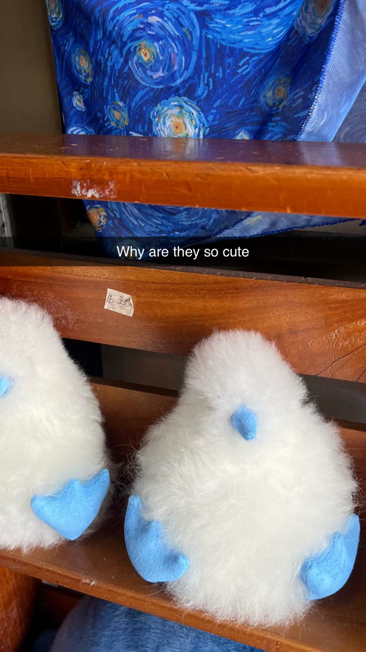 alisonbowles snapchat image archive image