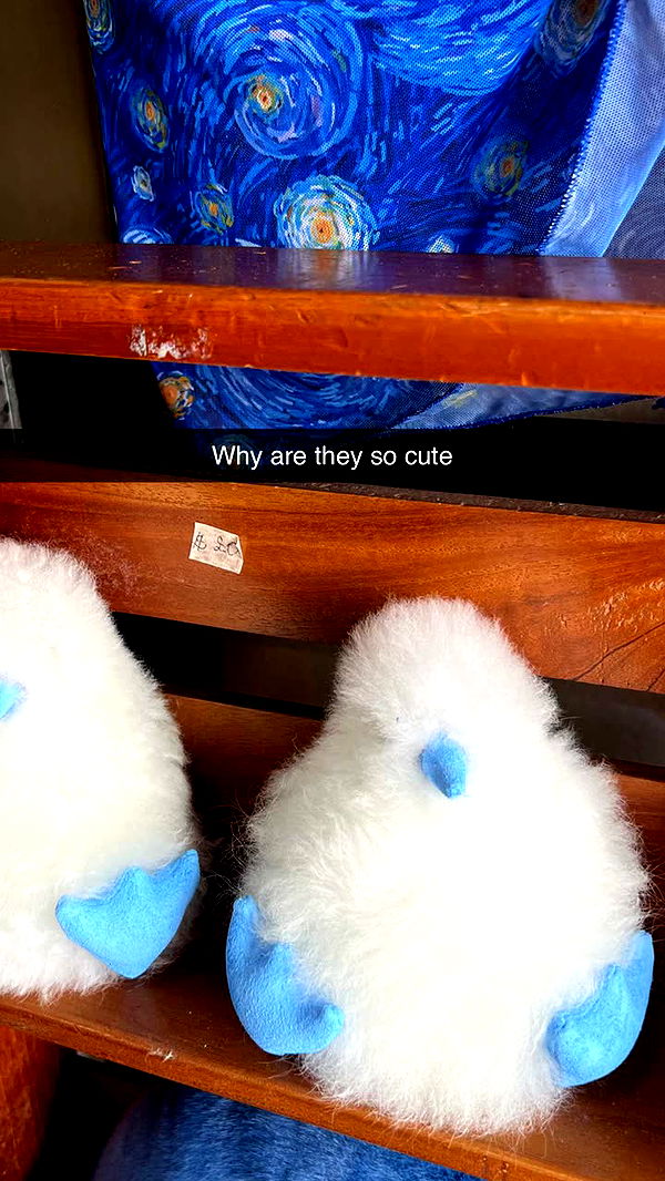 alisonbowles image ~ Altpins