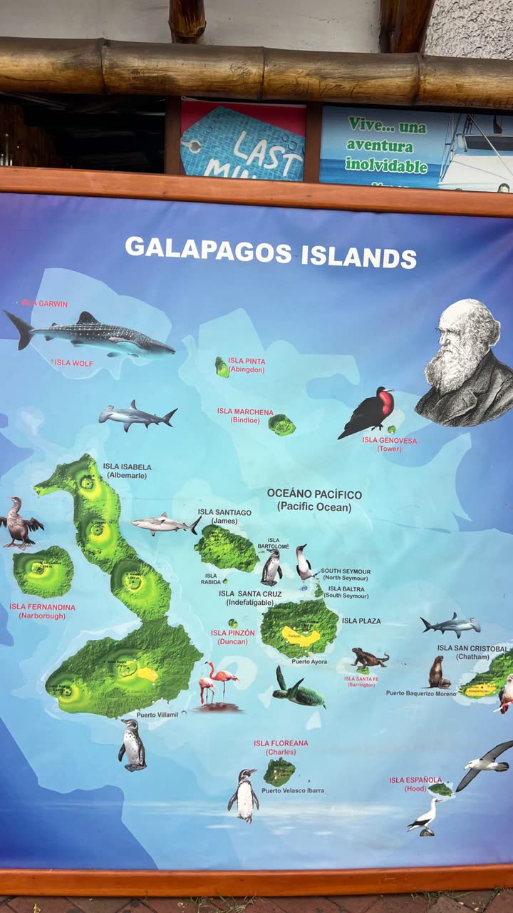 alisonbowles snapchat image archive image