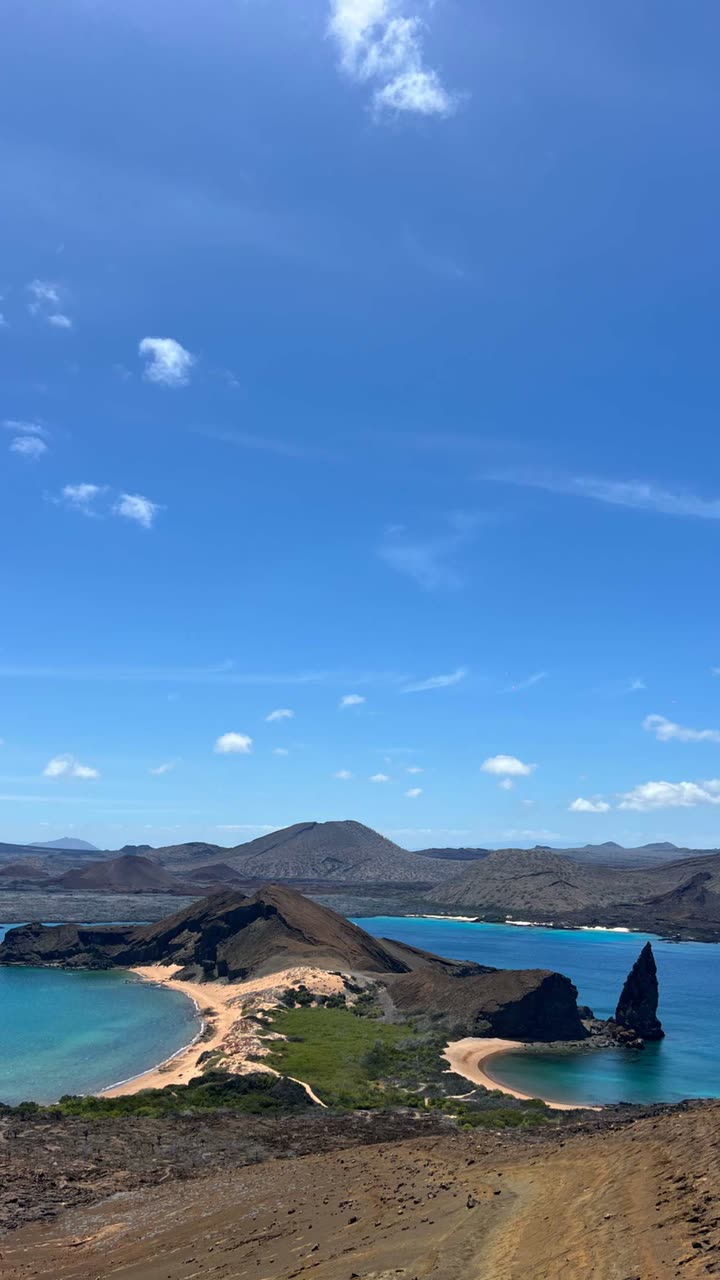 alisonbowles snapchat image archive image