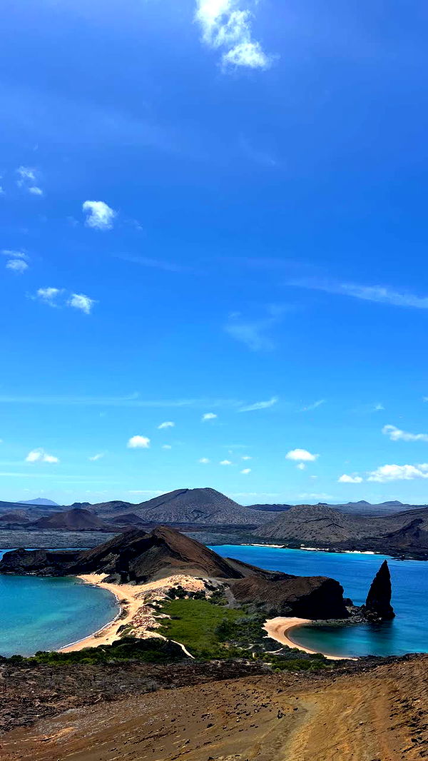 alisonbowles image ~ Altpins