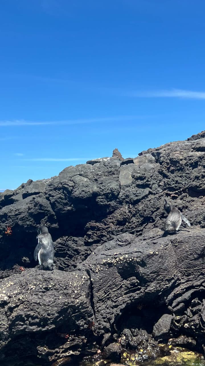 alisonbowles snapchat image archive image