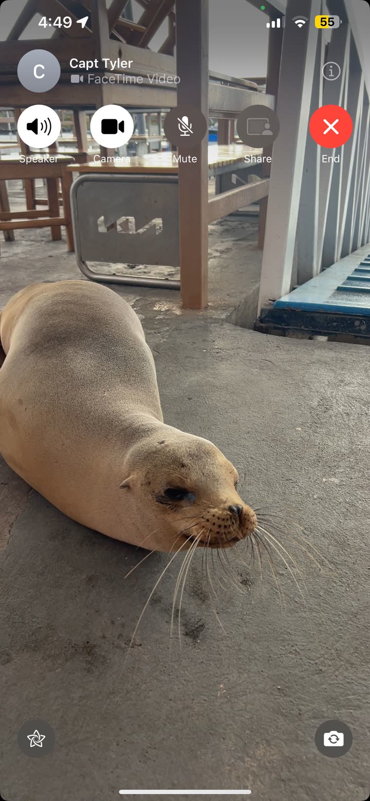 alisonbowles snapchat image archive image