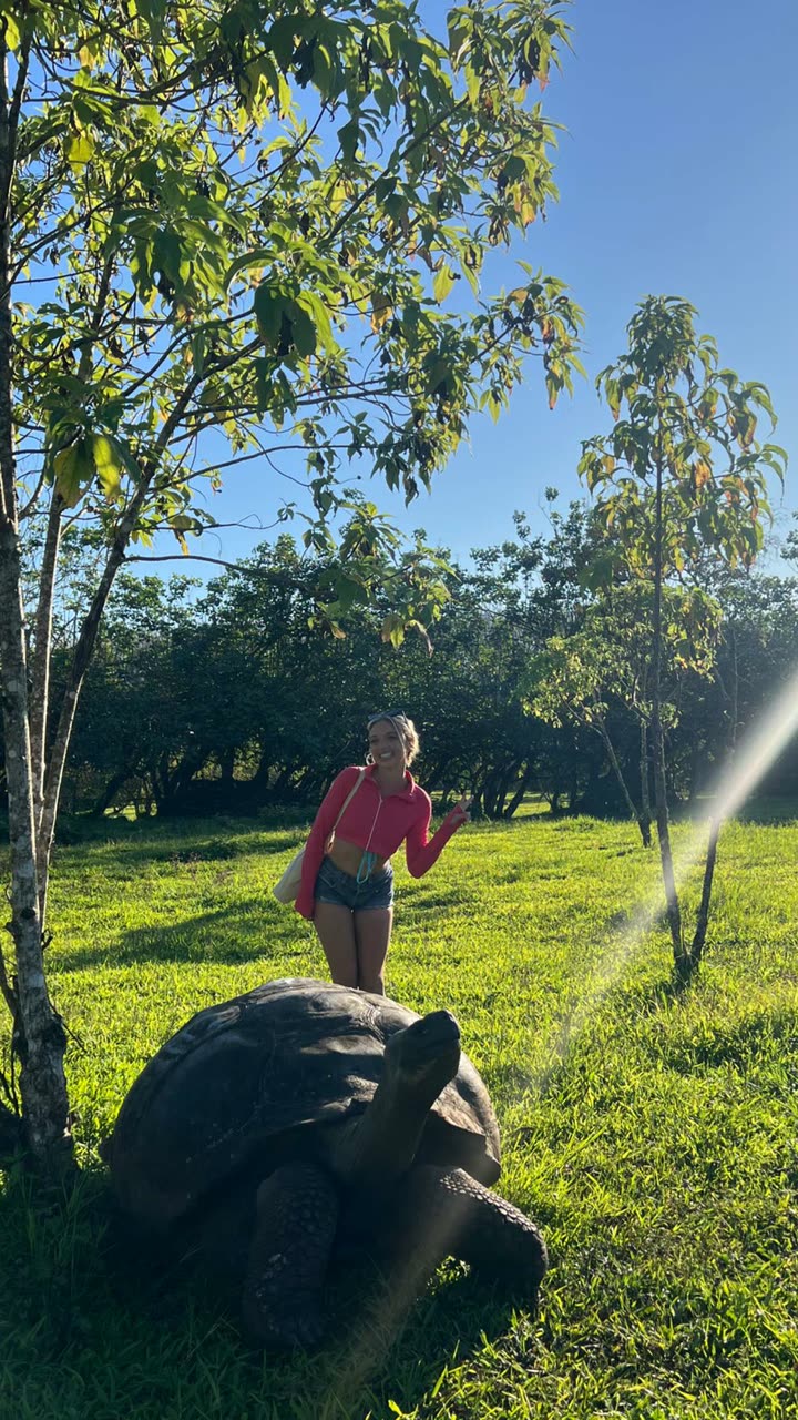 alisonbowles snapchat image archive image