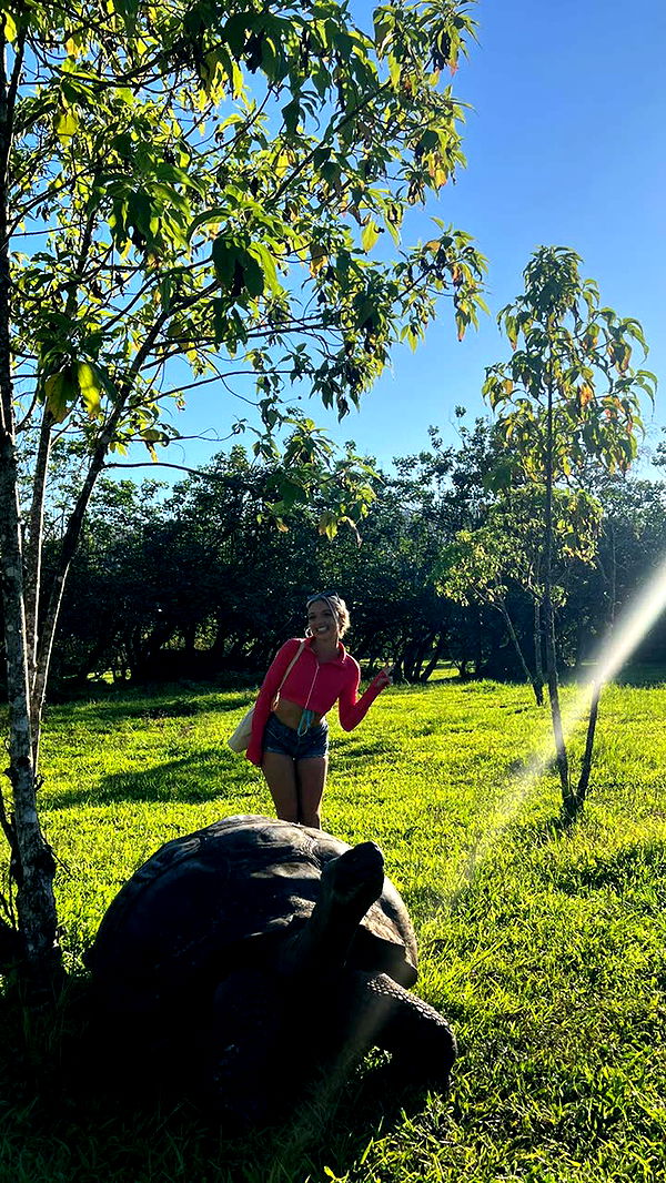 alisonbowles image ~ Altpins