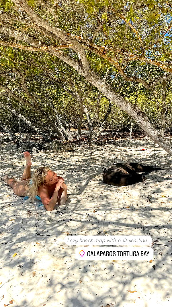 alisonbowles image ~ Altpins