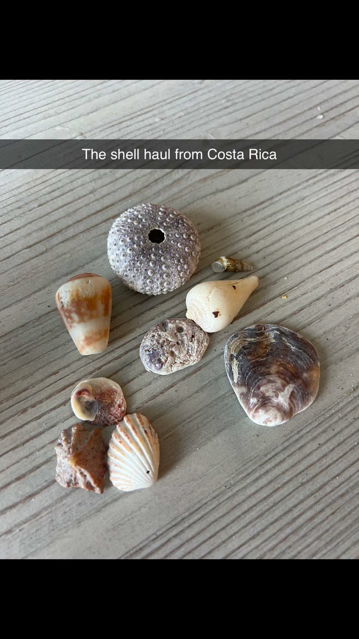 alisonbowles snapchat image archive image