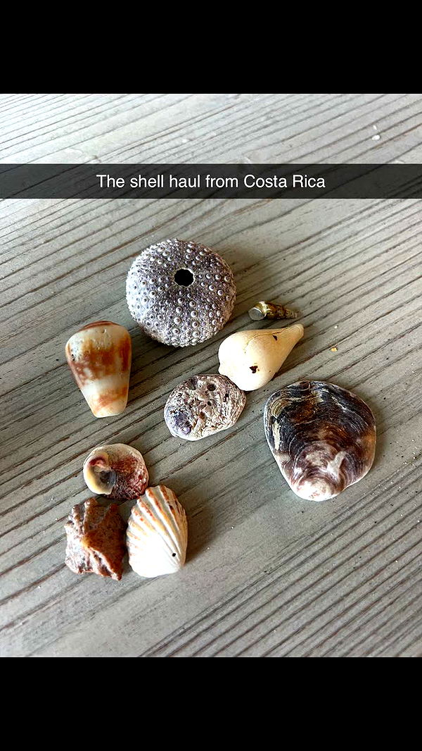 alisonbowles image ~ Altpins