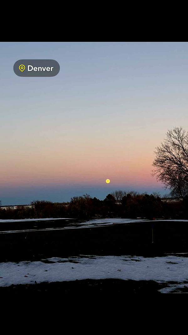 alisonbowles image ~ Altpins