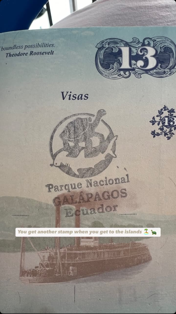 alisonbowles snapchat image archive image