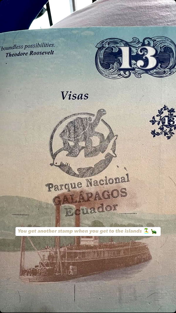 alisonbowles image ~ Altpins