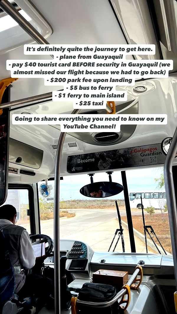 alisonbowles image ~ Altpins