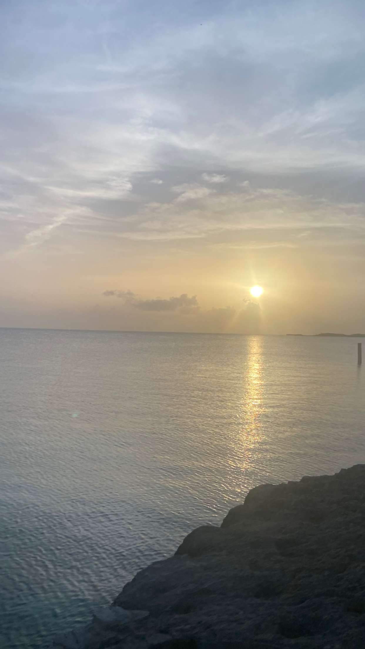 alisonbowles snapchat image archive image