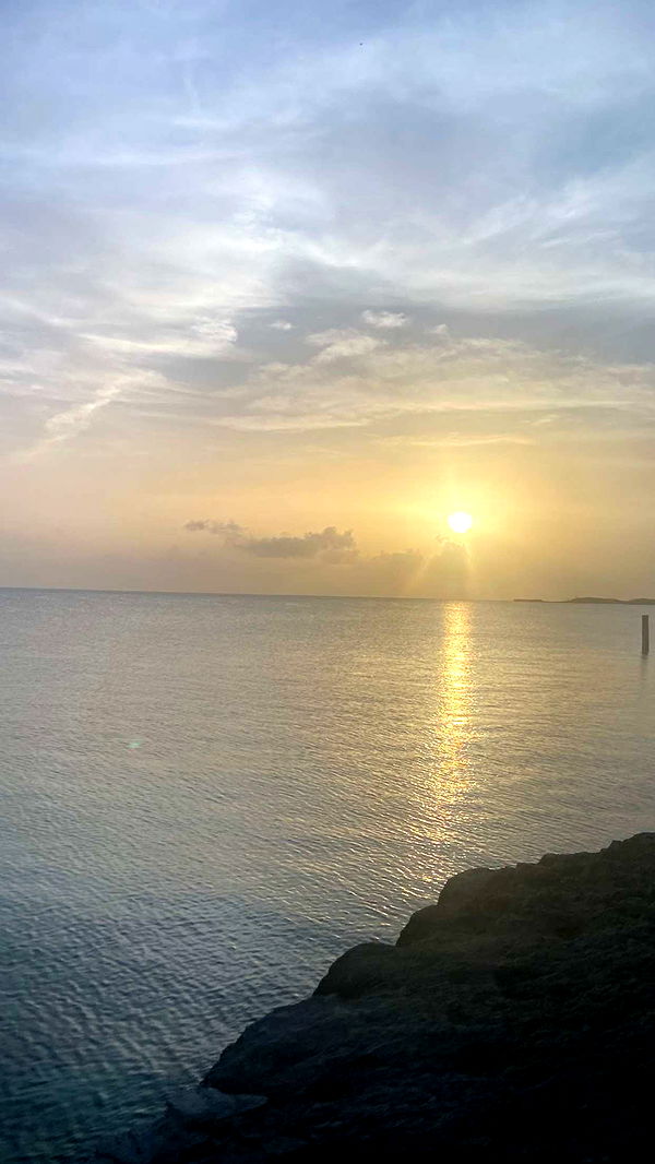 alisonbowles image ~ Altpins