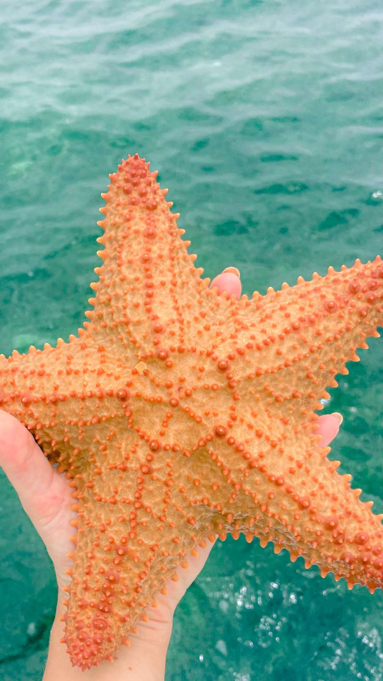 alisonbowles snapchat image archive image