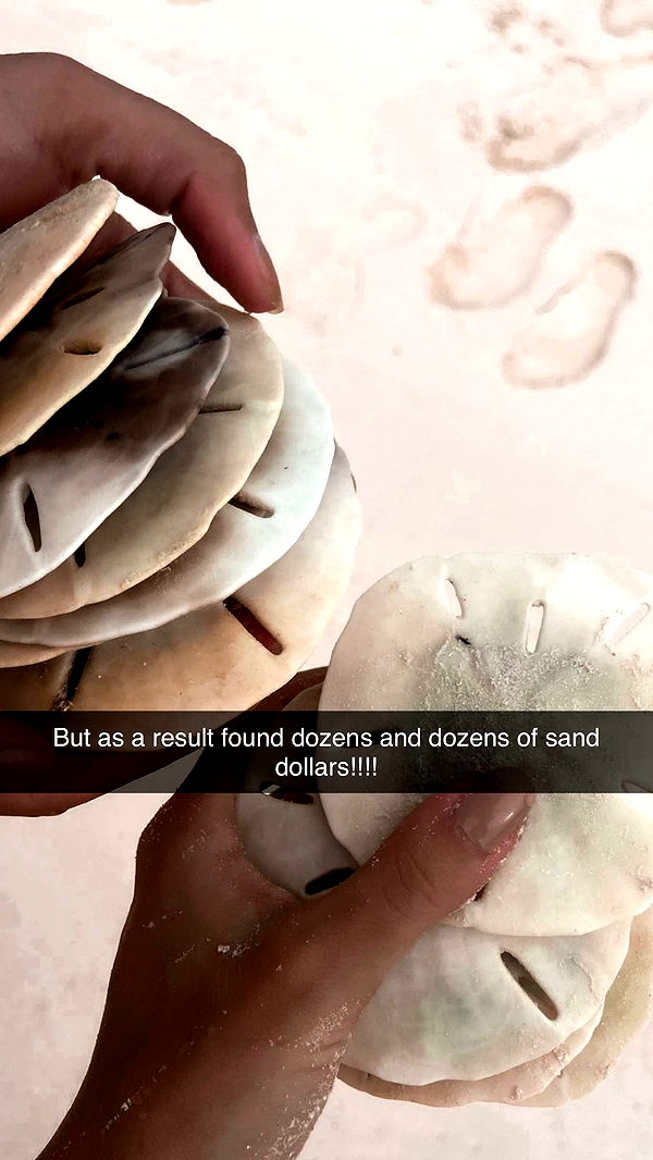 alisonbowles image ~ Altpins