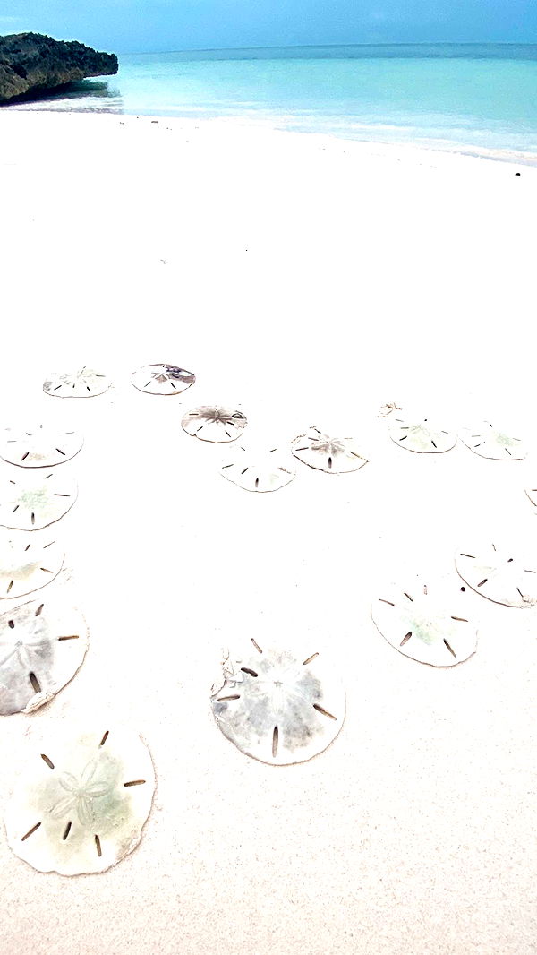 alisonbowles image ~ Altpins