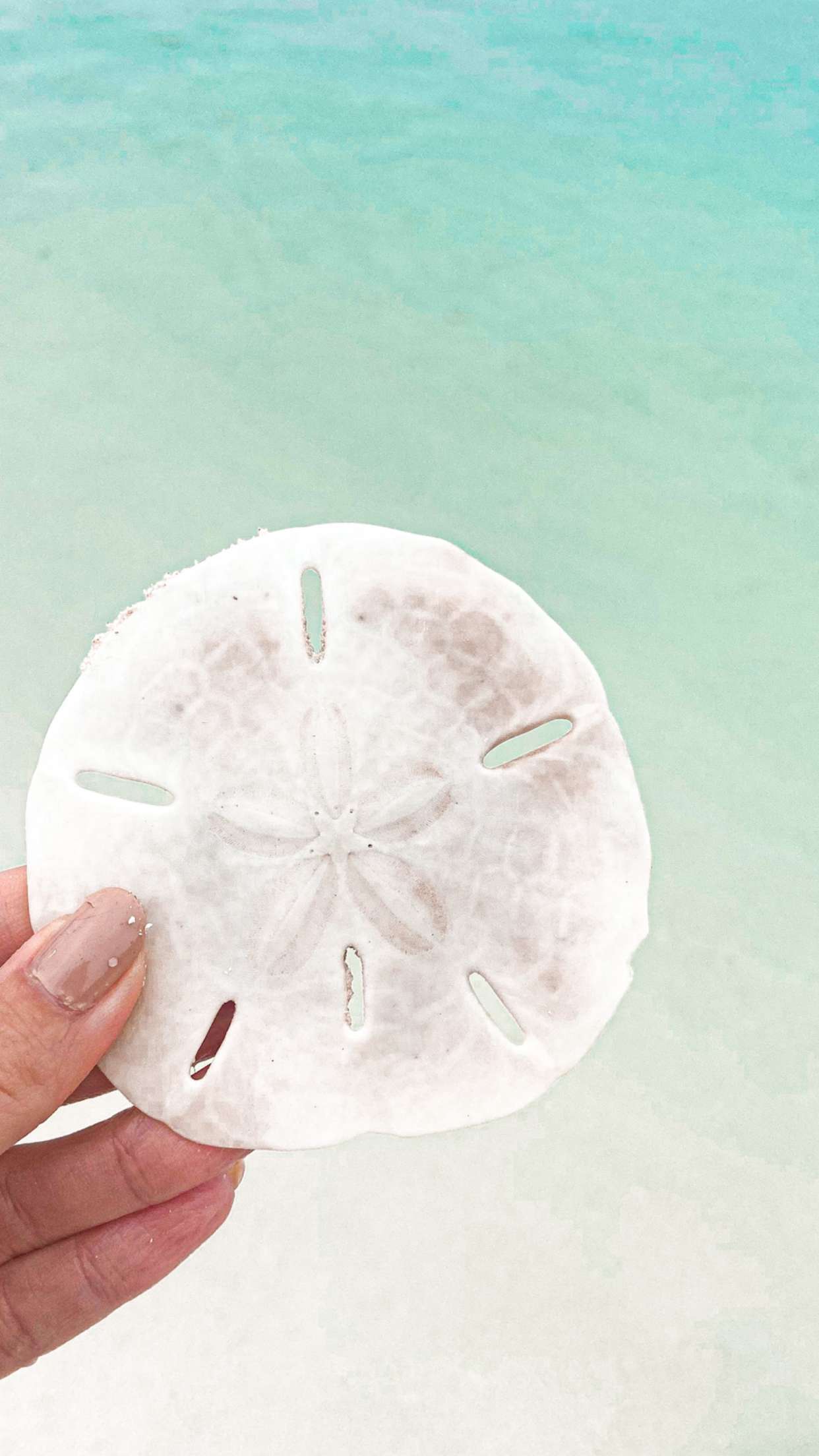 alisonbowles snapchat image archive image