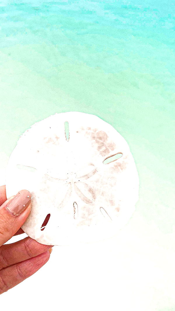 alisonbowles image ~ Altpins