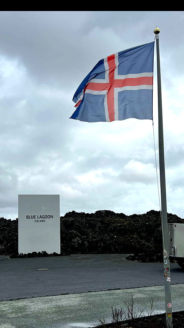 alisonbowles image ~ Altpins