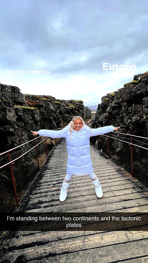 alisonbowles image ~ Altpins