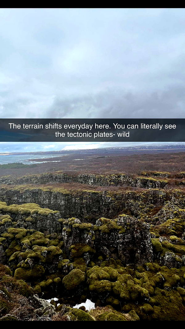 alisonbowles image ~ Altpins