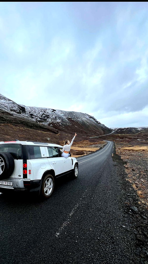 alisonbowles image ~ Altpins