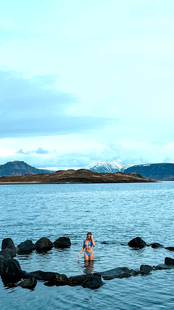 alisonbowles image ~ Altpins