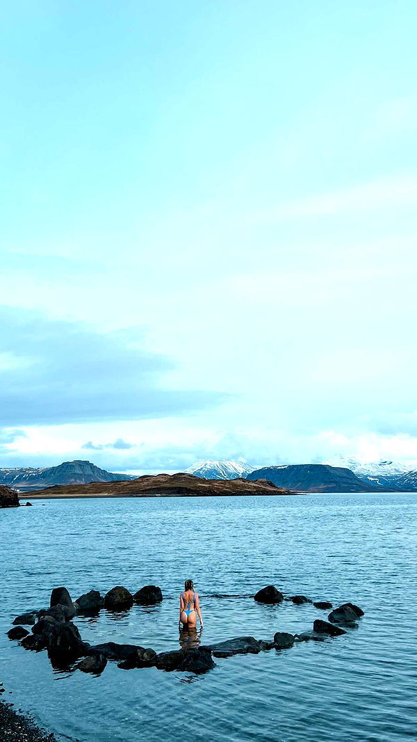 alisonbowles image ~ Altpins