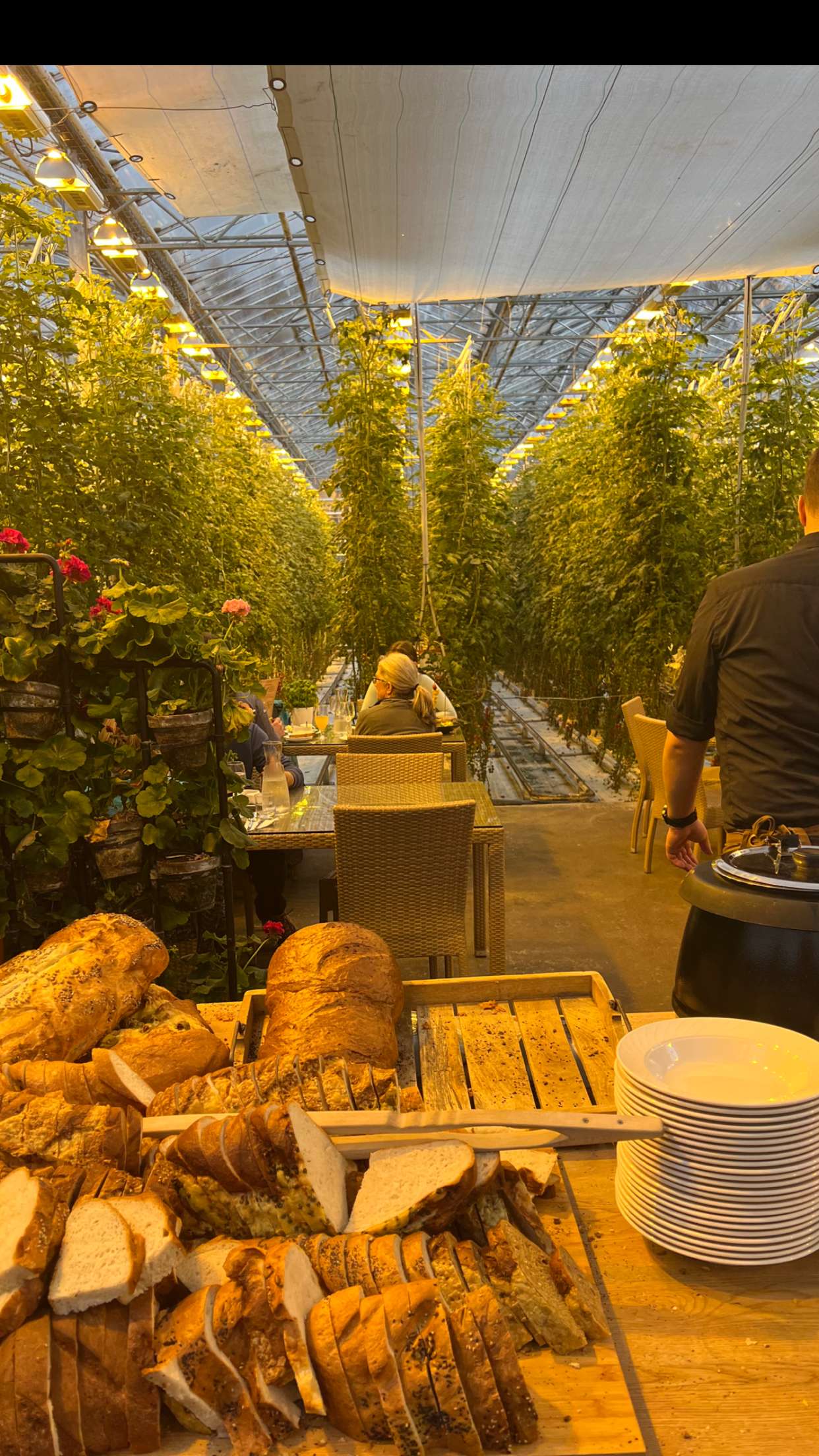 alisonbowles snapchat image archive image