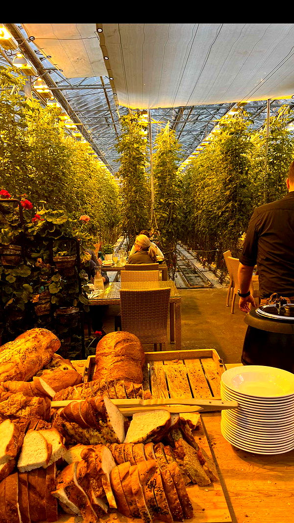 alisonbowles image ~ Altpins