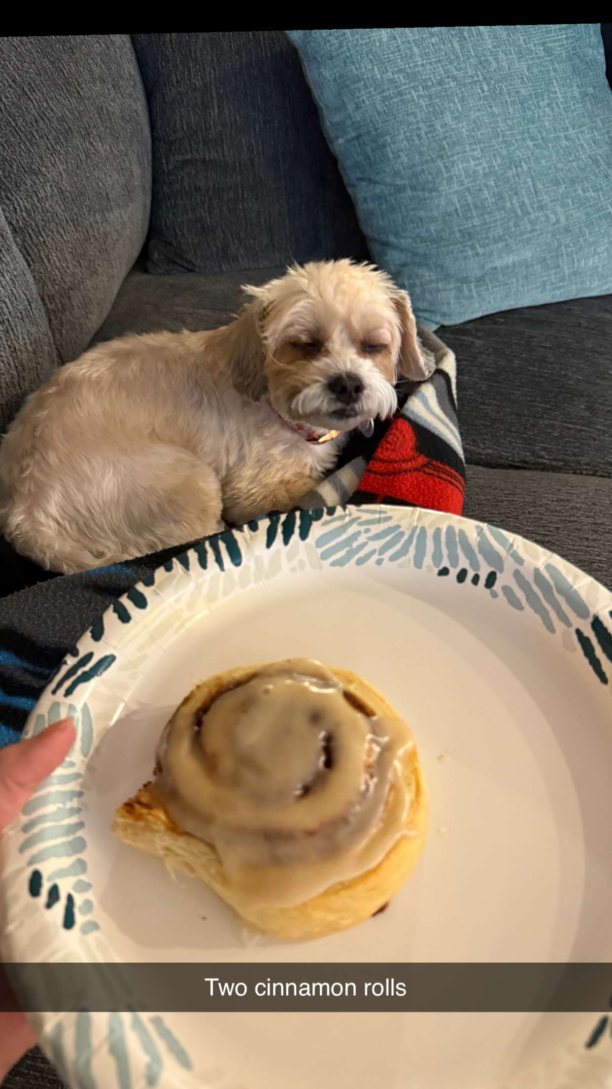 alisonbowles snapchat image archive image