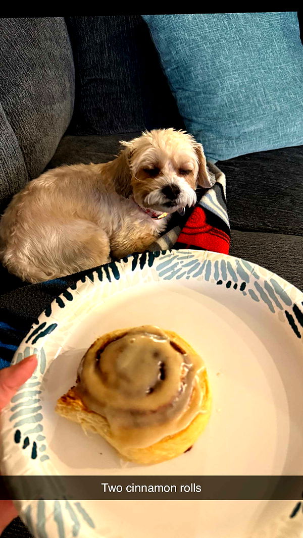 alisonbowles image ~ Altpins