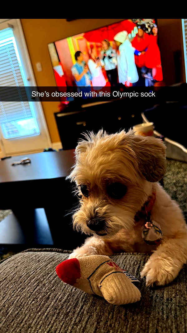 alisonbowles image ~ Altpins