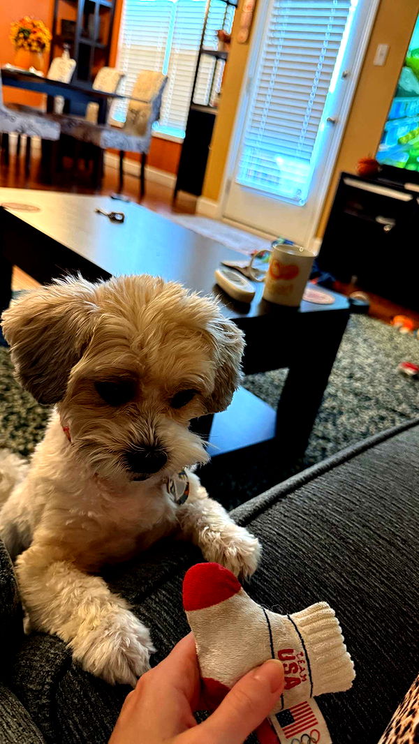 alisonbowles image ~ Altpins