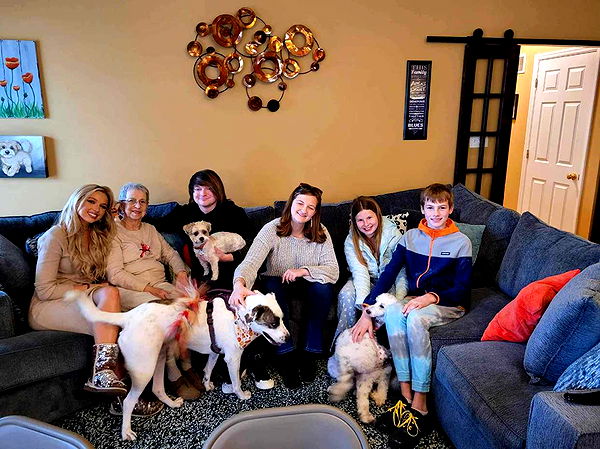 alisonbowles image ~ Altpins