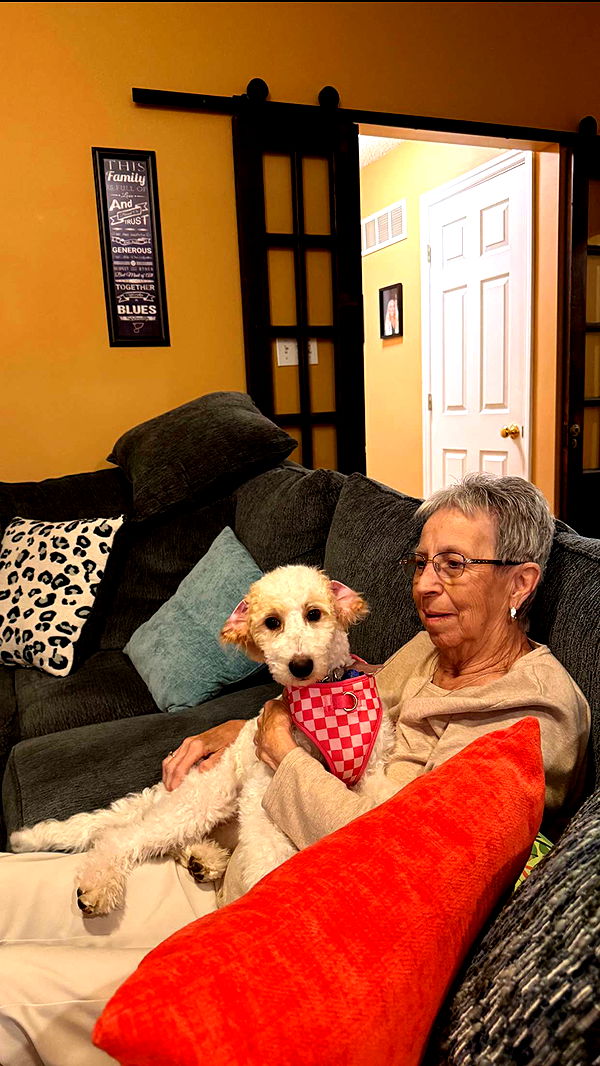 alisonbowles image ~ Altpins