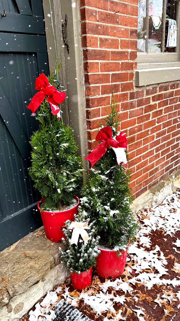 alisonbowles image ~ Altpins