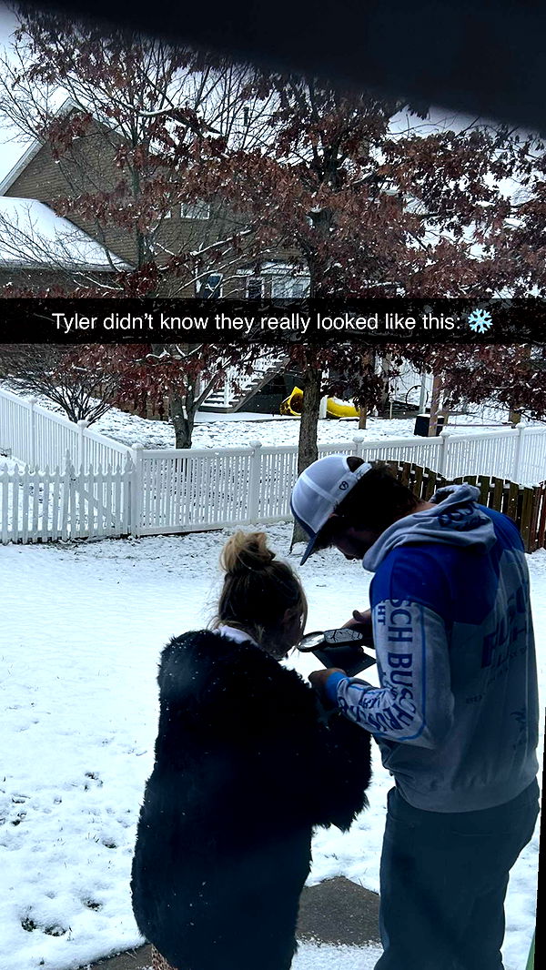 alisonbowles image ~ Altpins