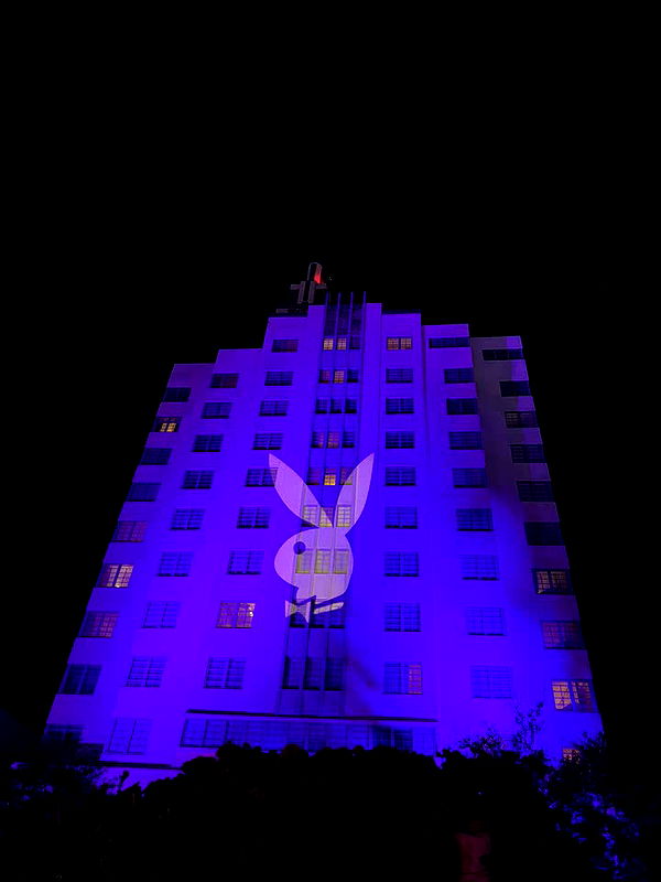 alisonbowles image ~ Altpins